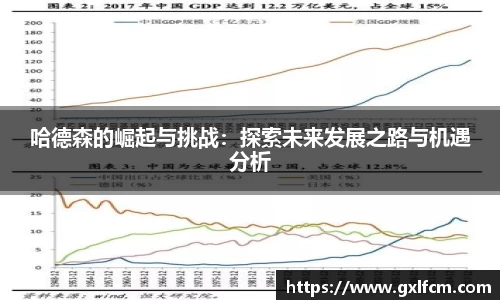 哈德森的崛起与挑战：探索未来发展之路与机遇分析